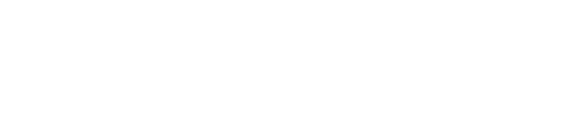 logobracebianco.png
